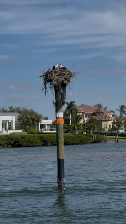 Private Sandbar Escape