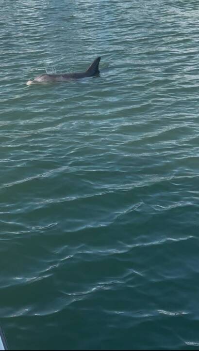 Private Sandbar Escape