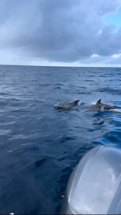 Private Sandbar Escape