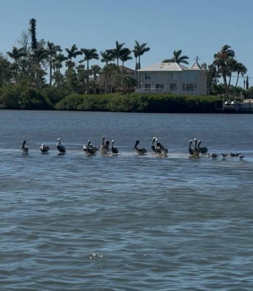 photo_2026-02-06_21-18-28