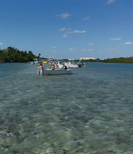 photo_2026-02-06_21-19-03